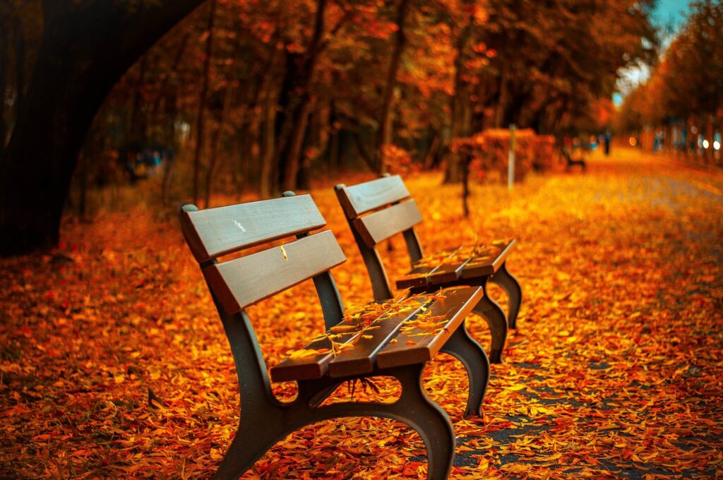 autumn-camping-tips4
