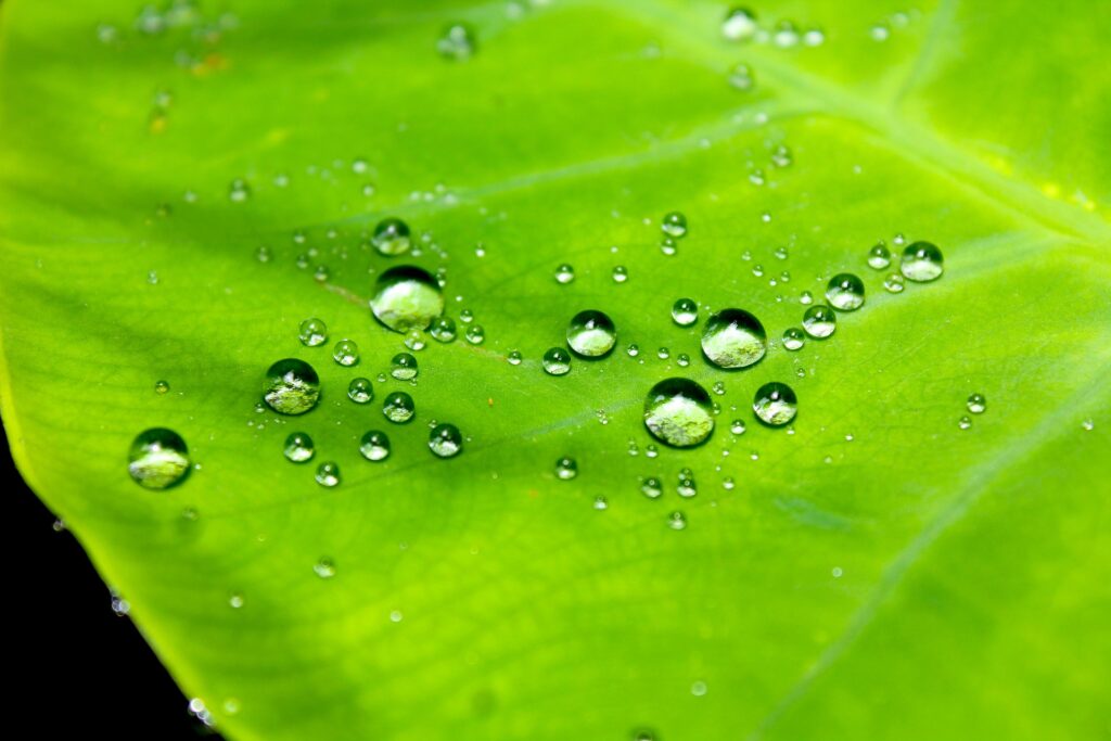evaluating-water-resistance-and-breathability2