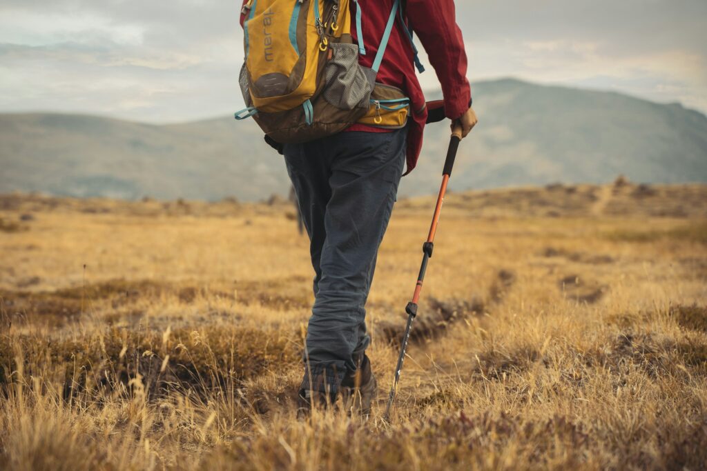 how-to-use-walking-poles-for-hiking2