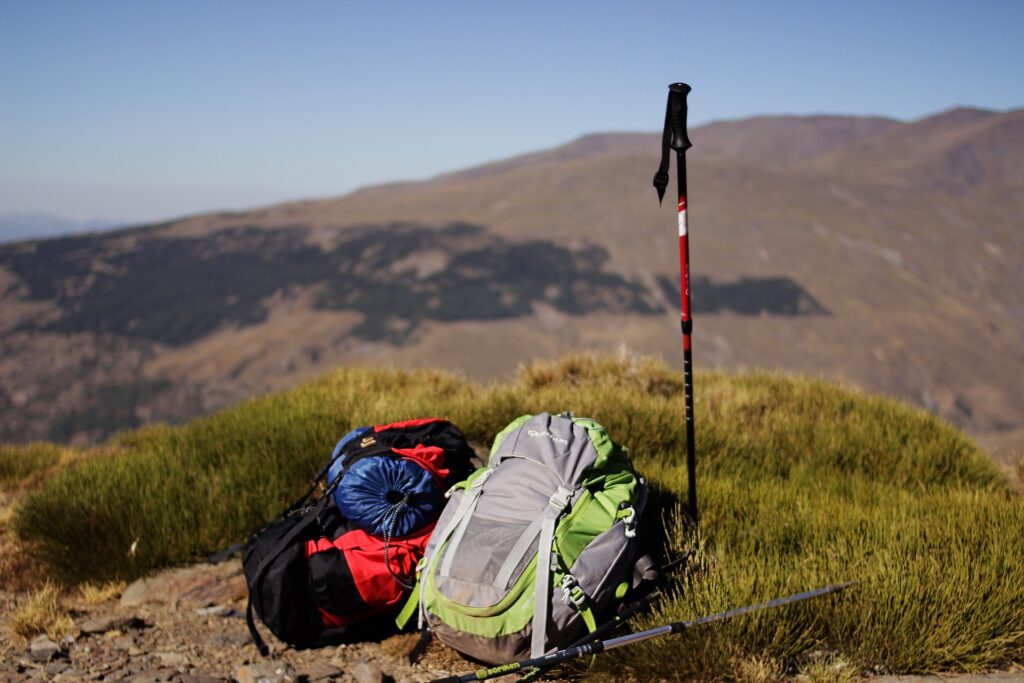 how-to-use-walking-poles-for-hiking4