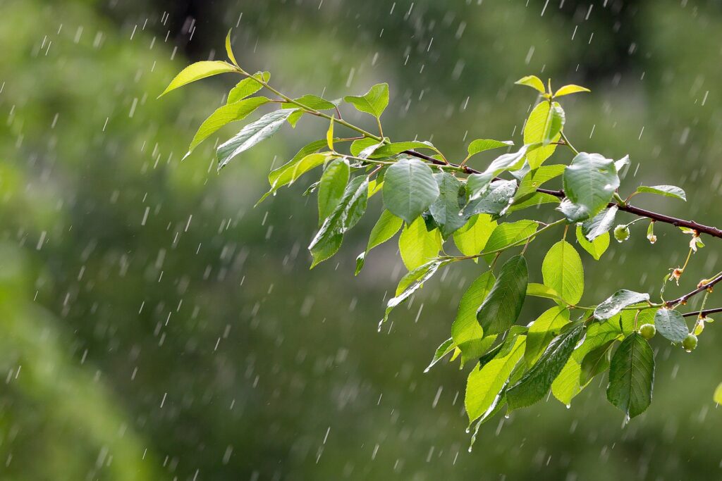 rainy-day-exercise-advantages3